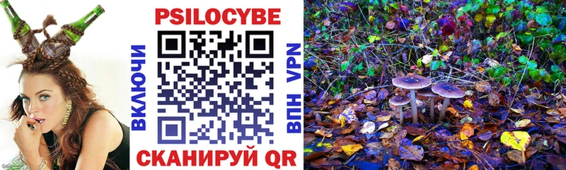 MEGA ССЫЛКА Саранск Псилоцибиновые грибы мухоморы